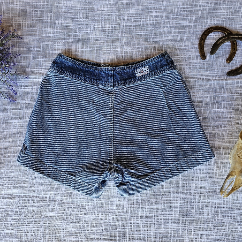 Vintage e.n.u.f. High Rise Striped Denim Shorts